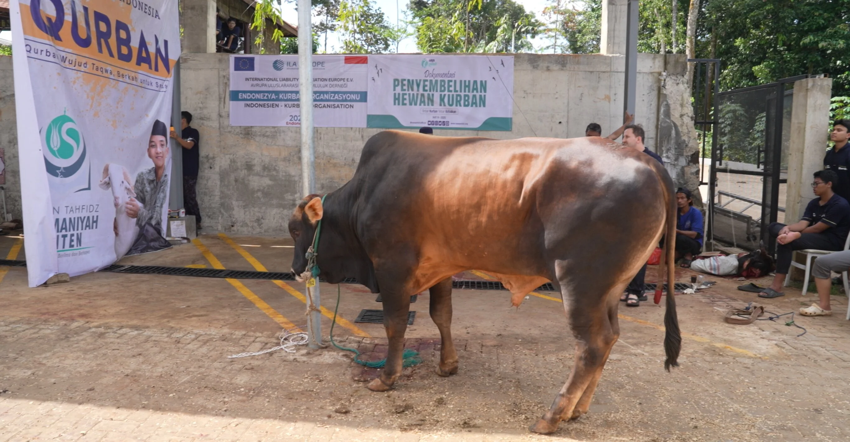 Foto 4 dari album Kurban Bersama Santri Tahfidz 2026